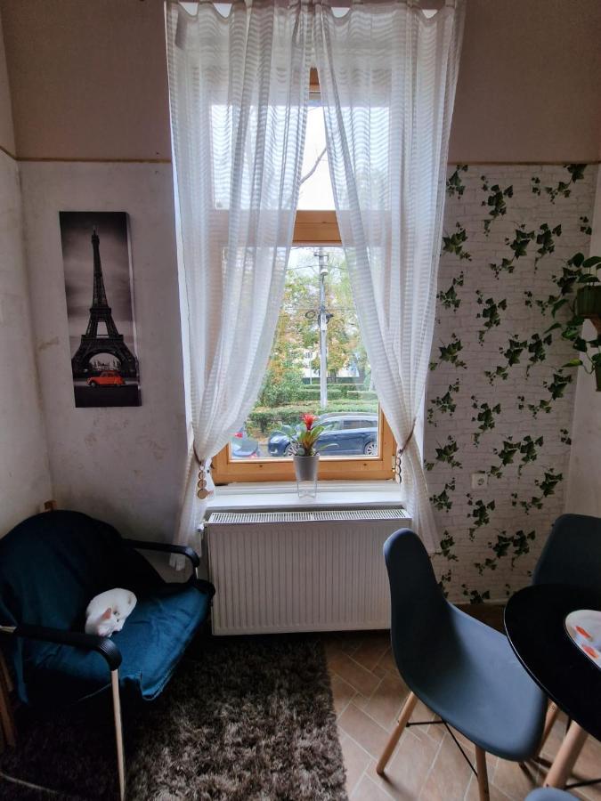 Apartament Ultracentral 2 Piata Muzeului Cluj-Napoca Exteriör bild
