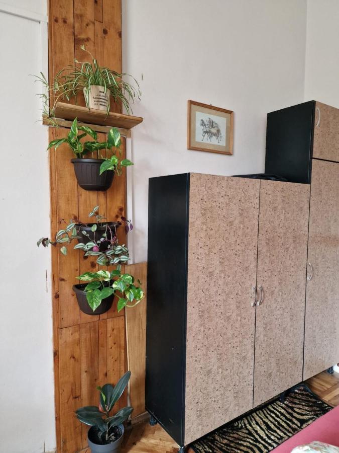 Apartament Ultracentral 2 Piata Muzeului Cluj-Napoca Exteriör bild
